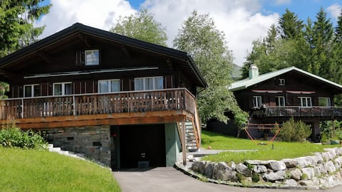 2 MountainChalets nxt to Slopes/Sauna/9Rms/4-14Pax