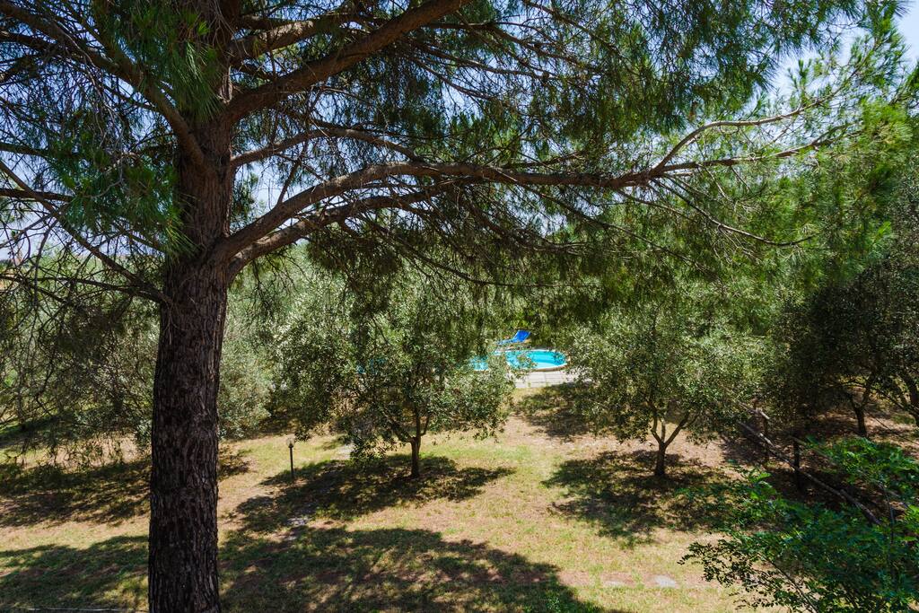 giardino piscina