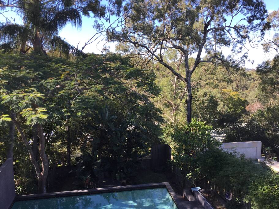 Pool for guest use