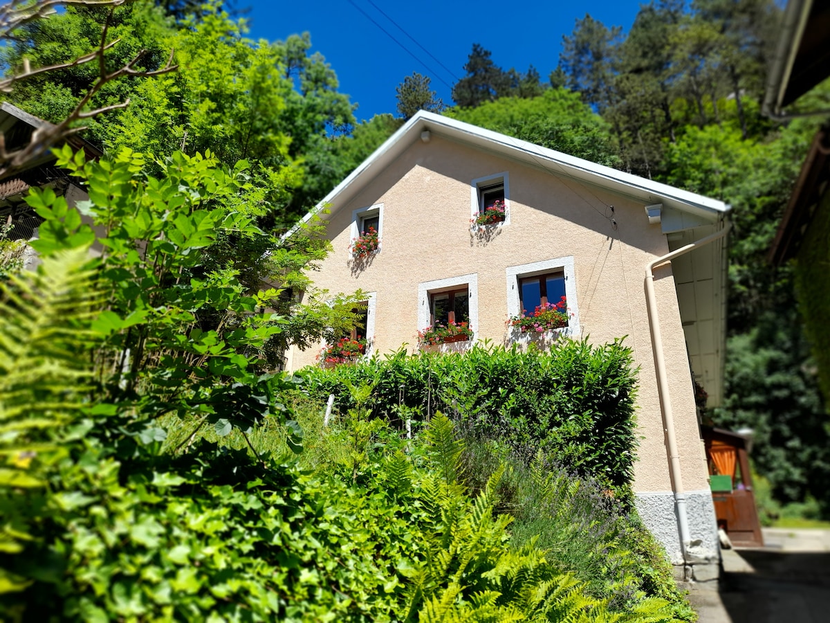 A charming house is nestled among lush greenery, featuring large windows adorned with flower boxes. The pastel-colored exterior complements the natural surroundings, while ferns and other plants create a serene entrance. Tall trees outline the property, enhancing the tranquil setting.