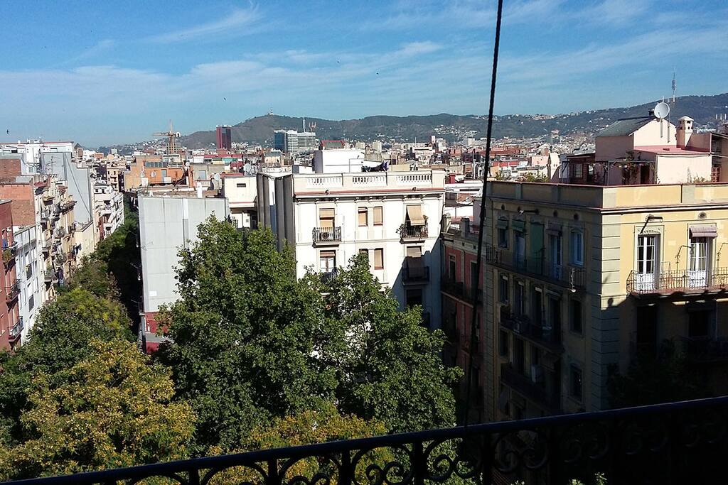 Vistas desde la habitación.
Views from the room.