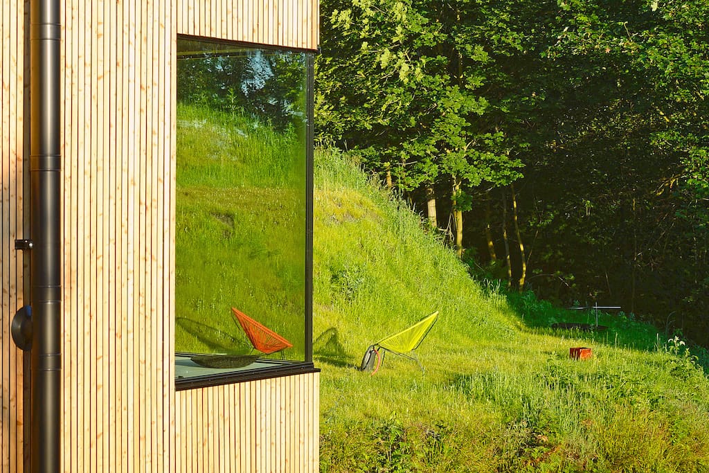 Blick in den kleinen Garten und Wald