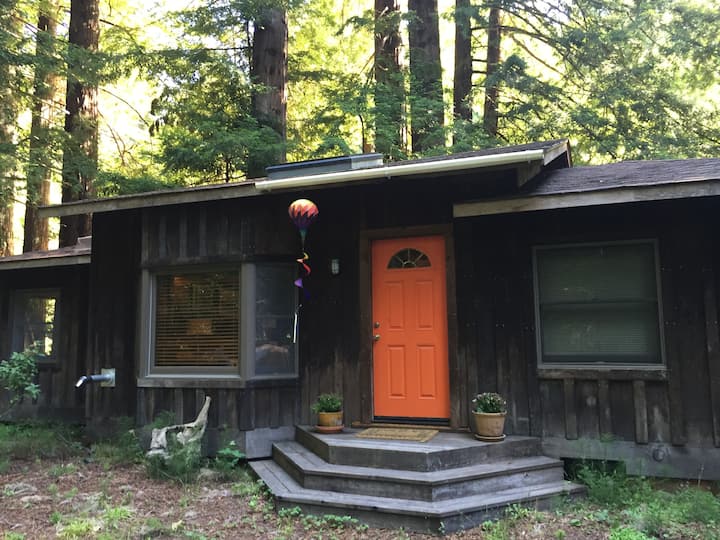 The Orange Door Cabins for Rent in Cazadero, California, United