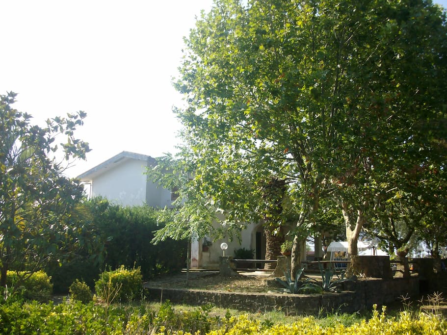 giardino