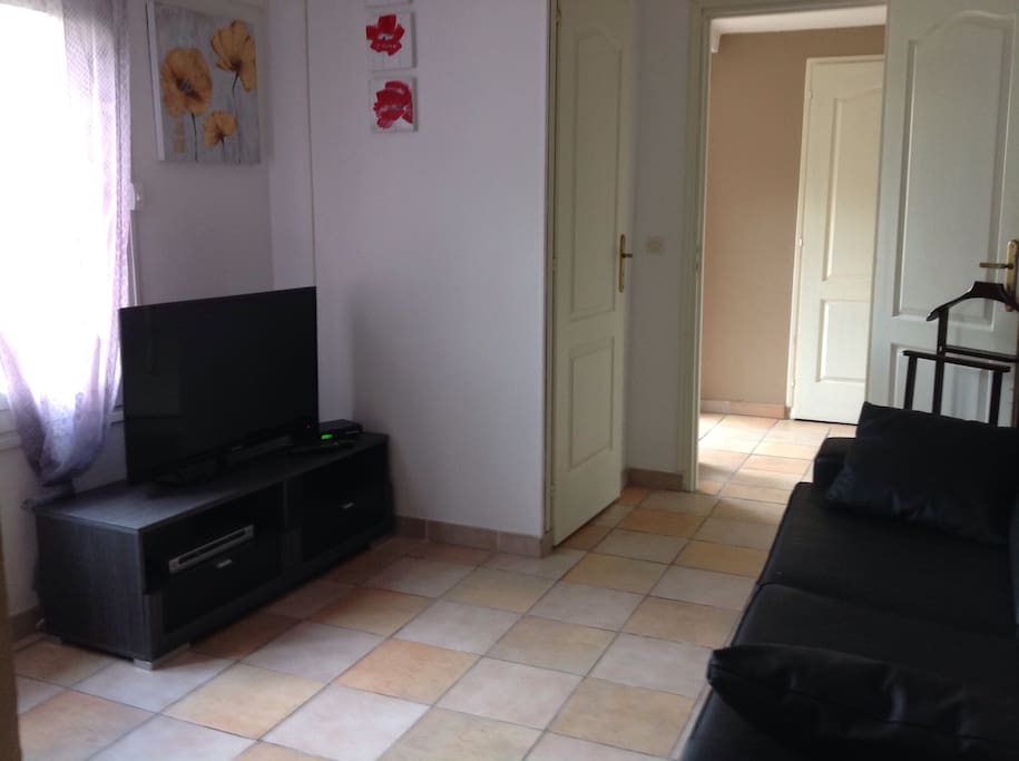TV grand écran