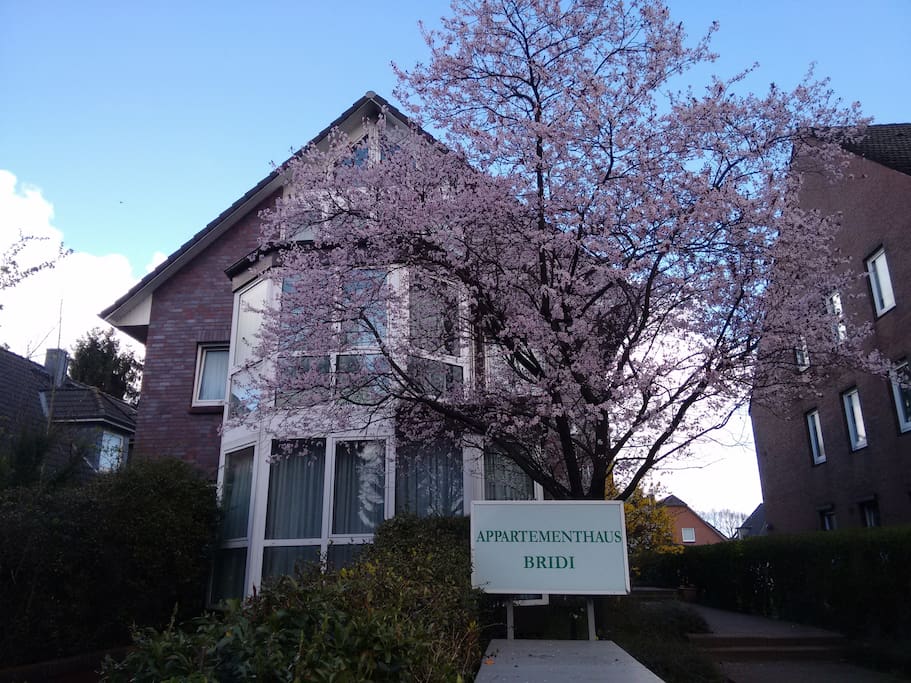 Vorderansicht