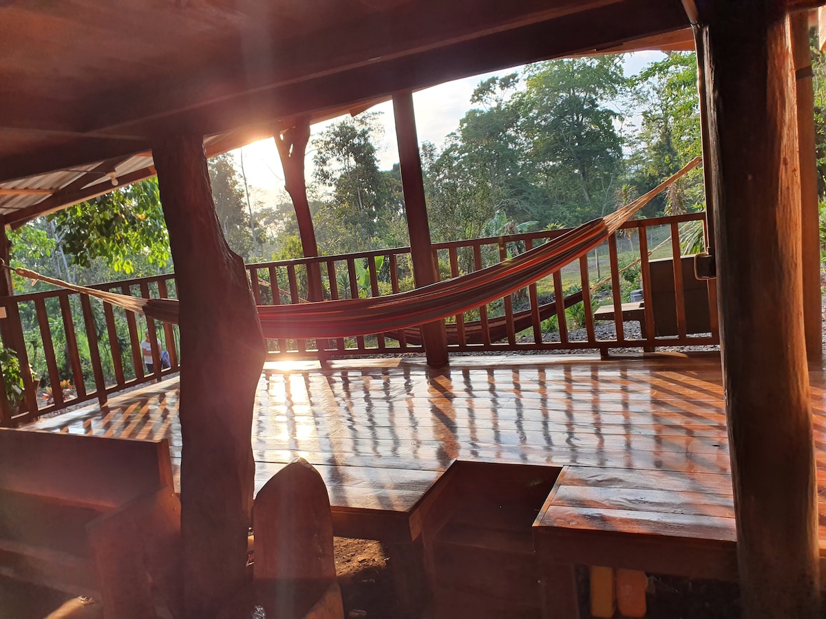 An open wooden deck is bathed in morning light, featuring a colorful hammock suspended between two posts. Lush greenery is visible in the background, and the polished wooden surface reflects the natural surroundings, creating a serene and inviting space for relaxation.