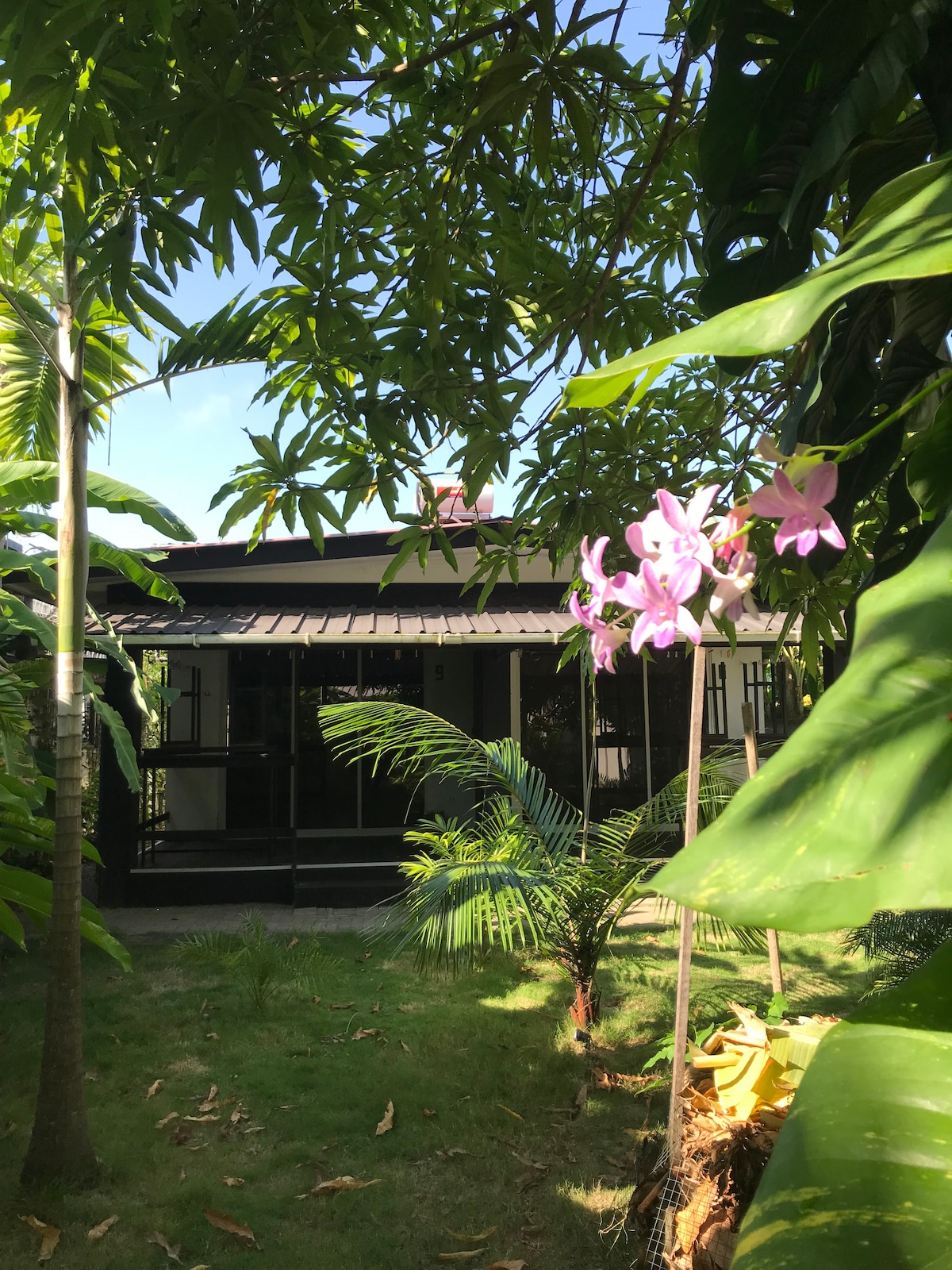 The image captures a charming house partially obscured by lush tropical foliage. Vibrant pink orchids and greenery frame the view, creating a serene atmosphere. The structure features large windows, allowing for natural light and outdoor visibility, set against a clear blue sky.