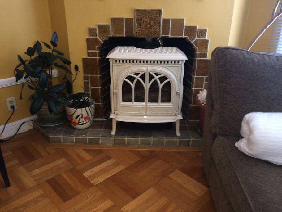 Gas fireplace, heater.
