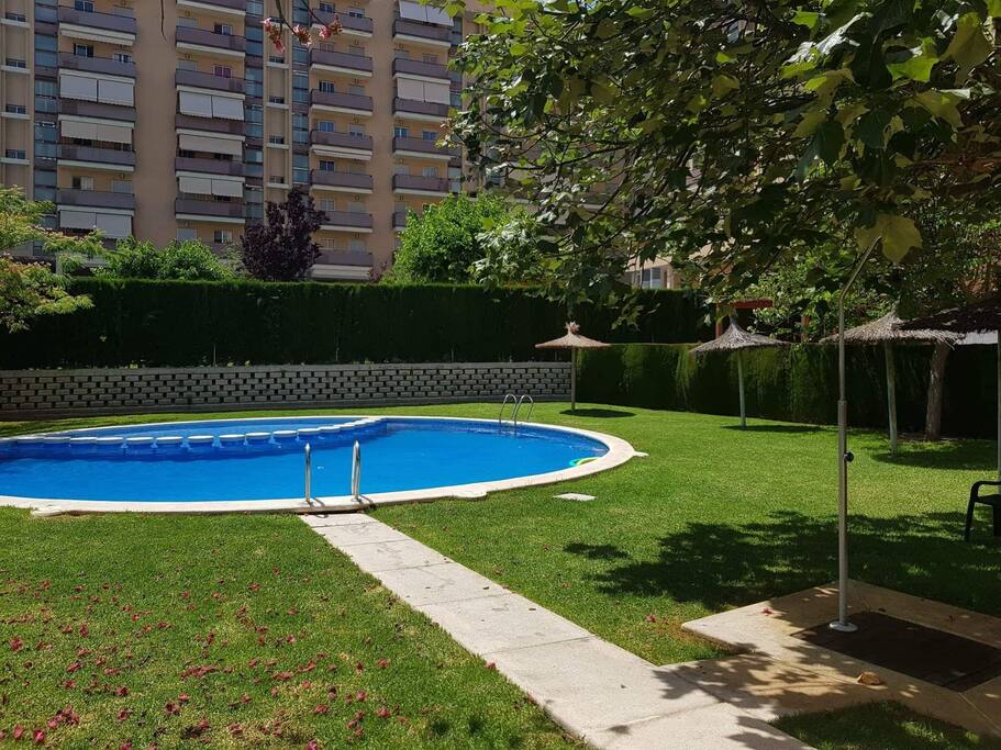 La piscina. The swimming pool