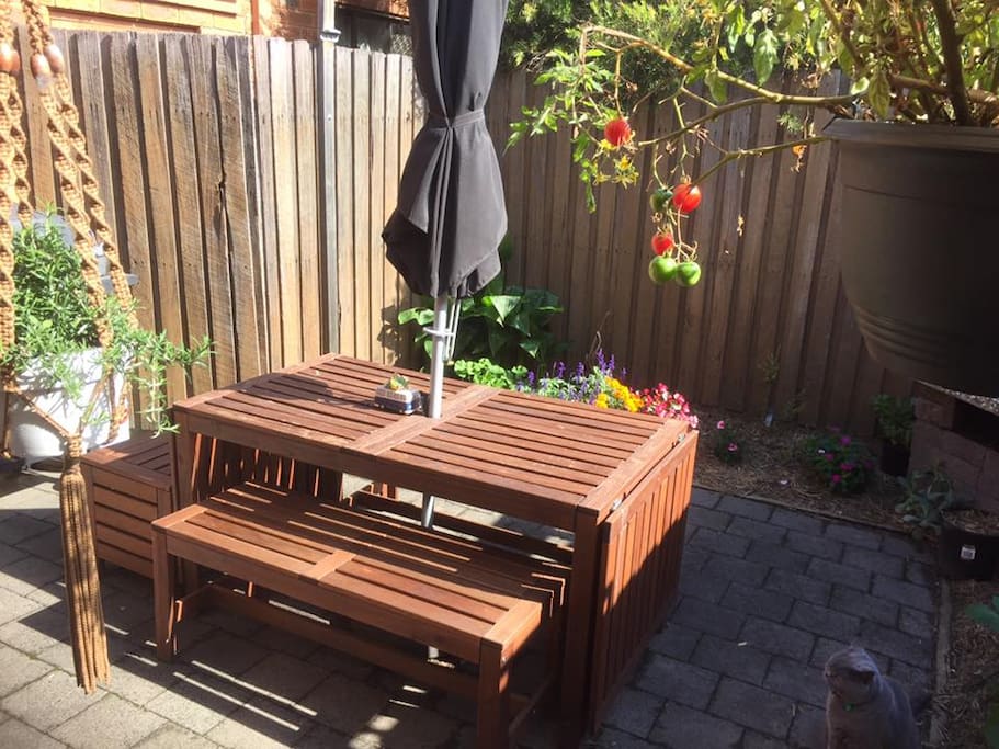 Sunny private courtyard