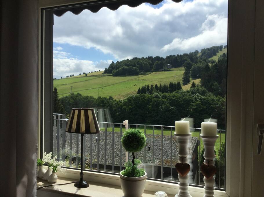 Blick zum Köhlerhagen
