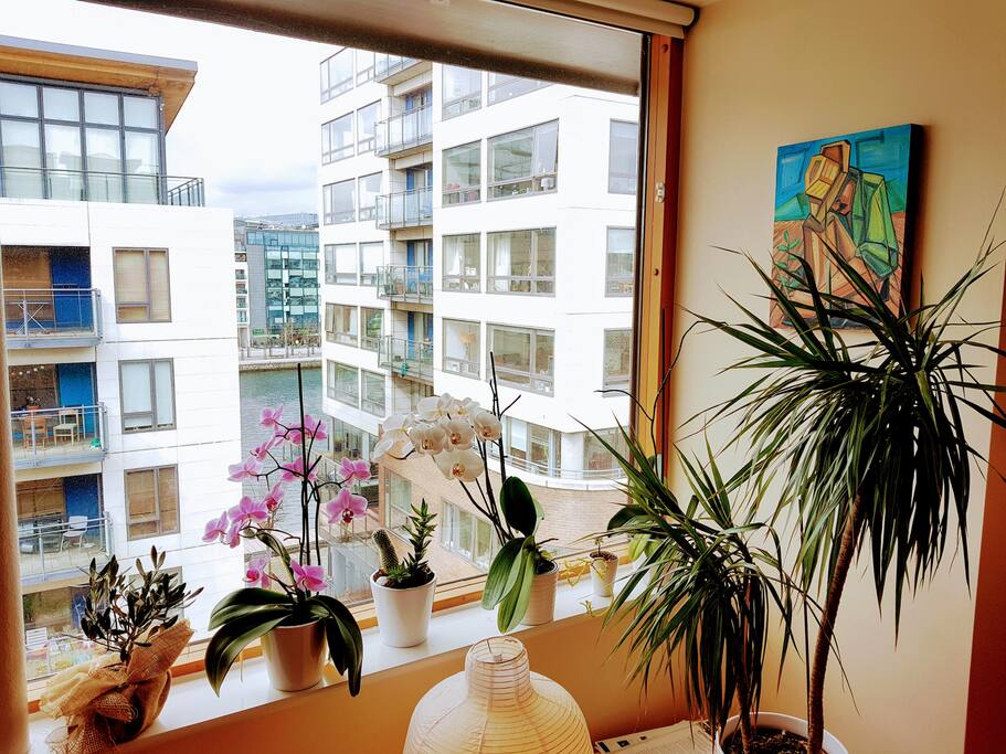 Partial view from the living room