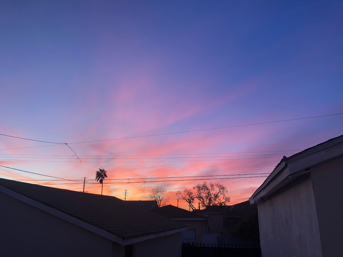 A vibrant sunset fills the sky with hues of pink, purple, and orange. Silhouettes of nearby homes and palm trees are visible against the colorful backdrop. Thin clouds stretch across the horizon, enhancing the scenery with gentle lines of light.