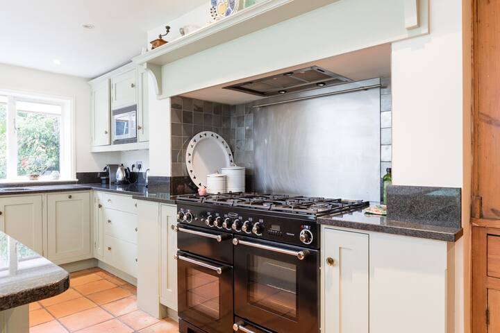 Family home & garden zone 2 Putney, London gallery image 3