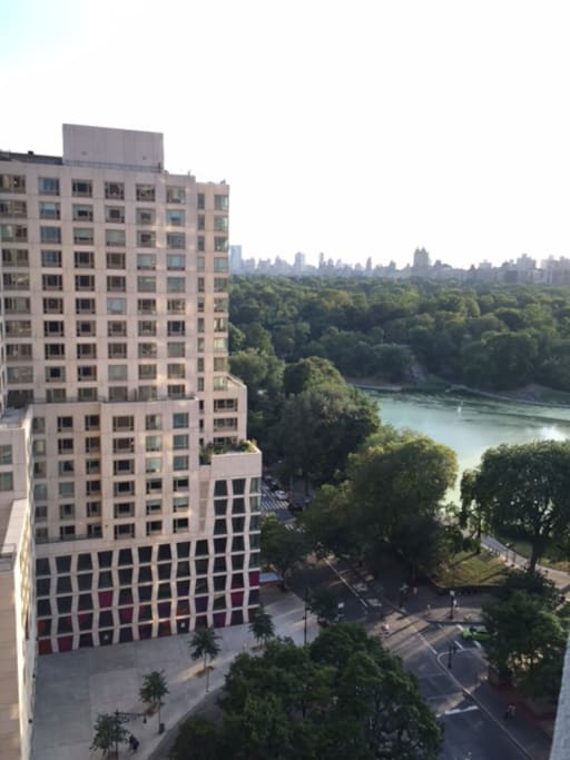Central Park side view