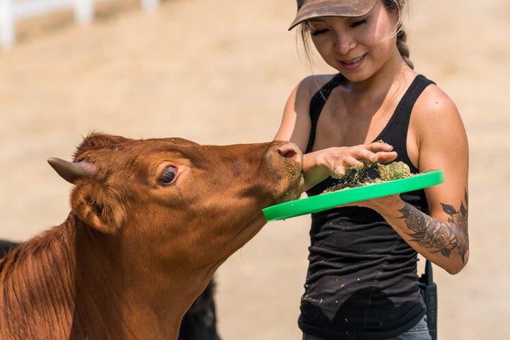 Mostrar imagem fornecida pelo anfitrião em ecrã inteiro