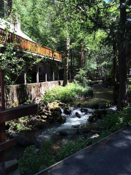 Lewis Creek