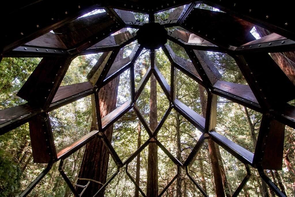Cathedral ceiling of the treehouse interior.
