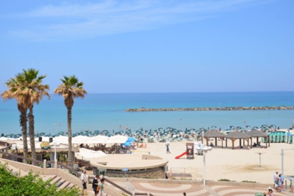 tel aviv cougars dating site Israeli archaeologists announced sunday they have uncovered a rare site dating site at jaljulia, northeast of tel aviv just off israeli highway. tel aviv cougars dating site Israeli archaeologists announced sunday they have uncovered a rare site dating site at jaljulia, northeast of tel aviv just off israeli highway.