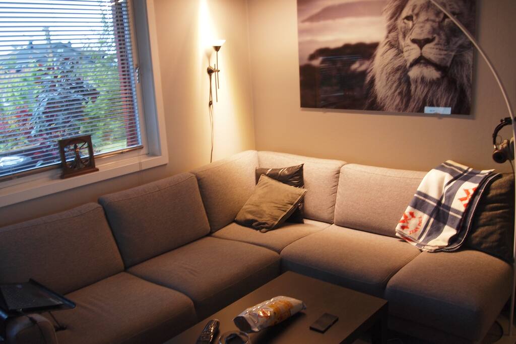 sofa stue. her er det plass for en i sofa, og en luftmadrass på gulv.