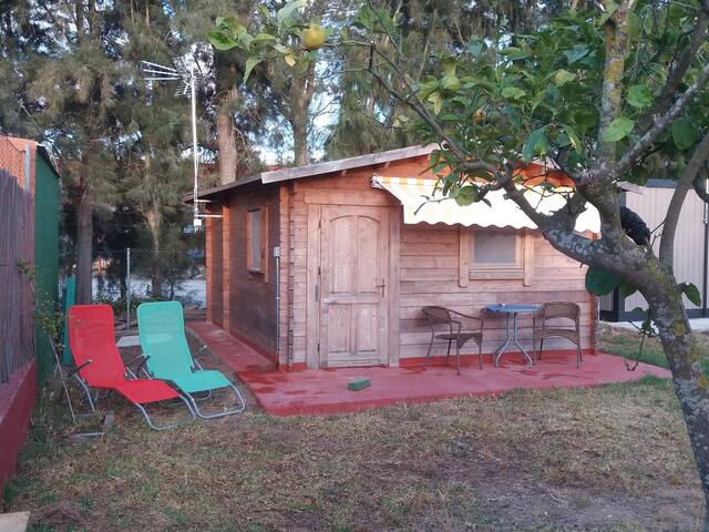 Home Chiclana de la Frontera.