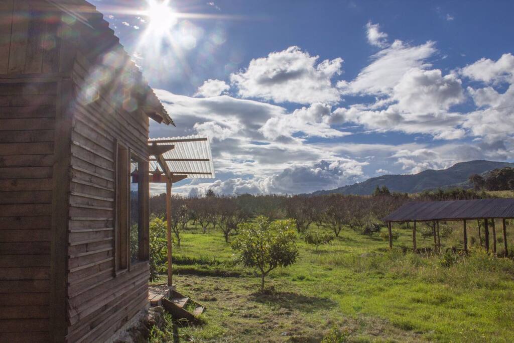 Fields of ripe avocado and peaches are your neighbours, where you can walk along and enjoy these treats.