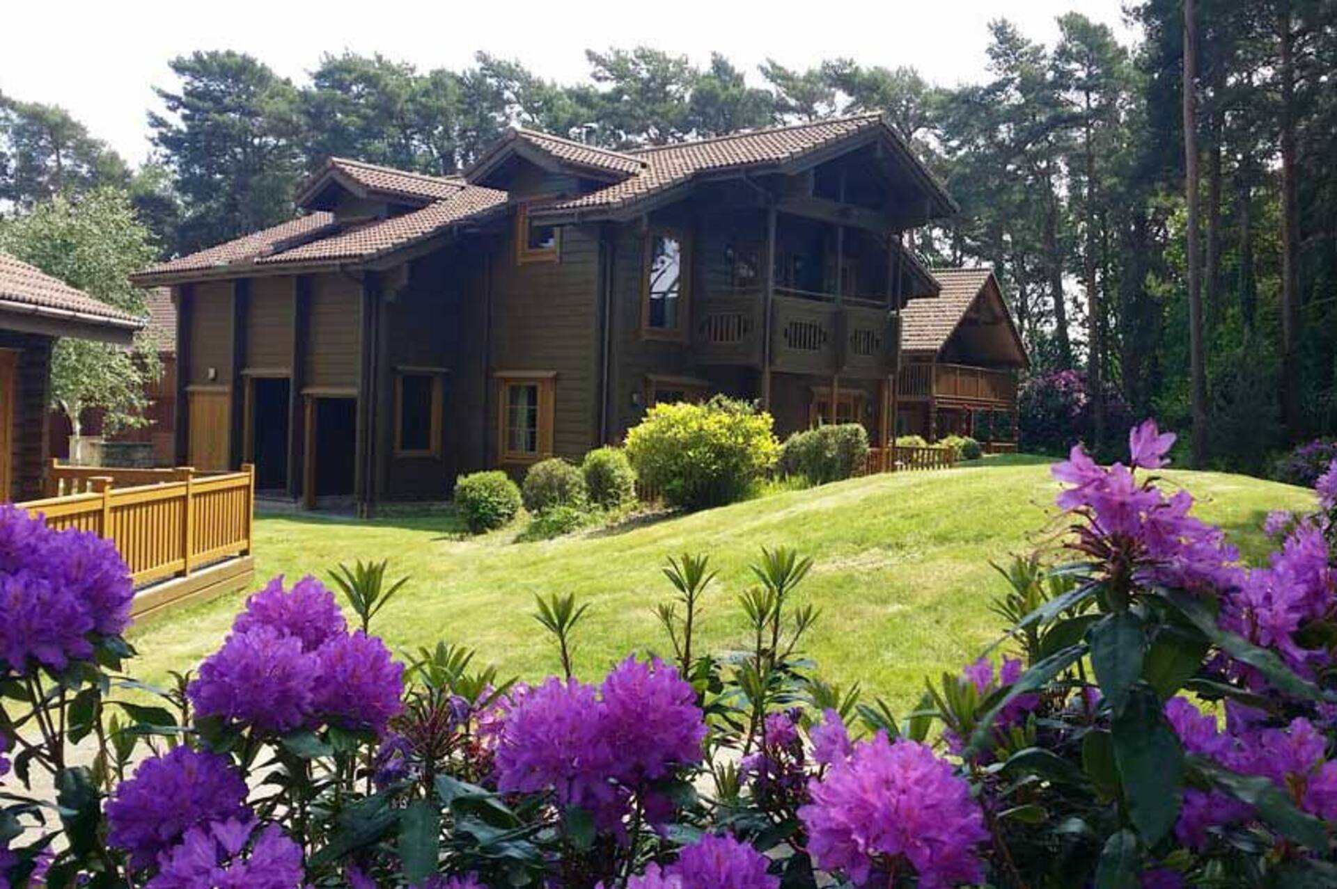 The Dorset Resort