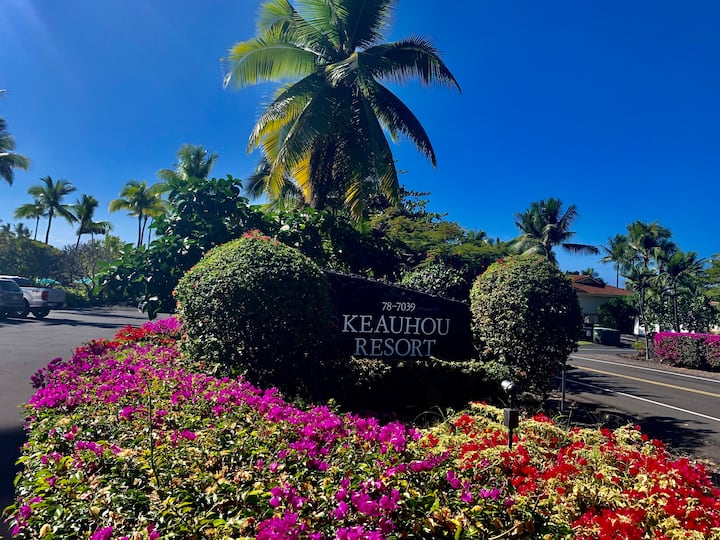 Keauhou Bay Vacation Rentals & Homes KahaluuKeauhou, HI Airbnb