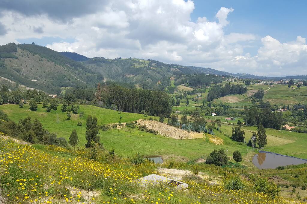 Desde las cabañas usted podrá también disfrutar de una cabalgata por sus alrededores y contemplar los hermosos paisajes naturales de la región.