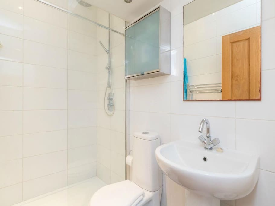 Adjacent modern shower room