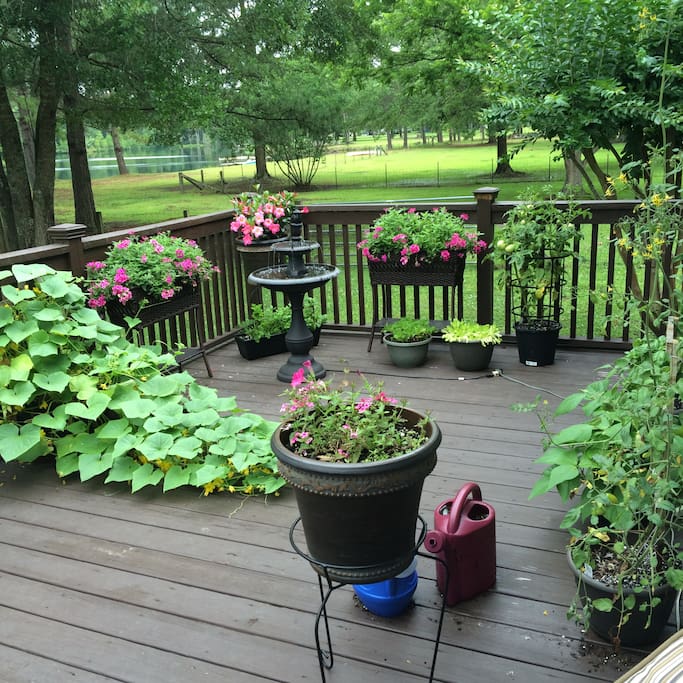 Deck garden with fountain