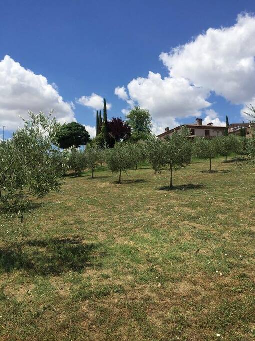 Tra il verde e la città
