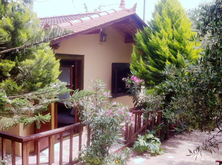 Beautiful wooden house with garden in Kampos