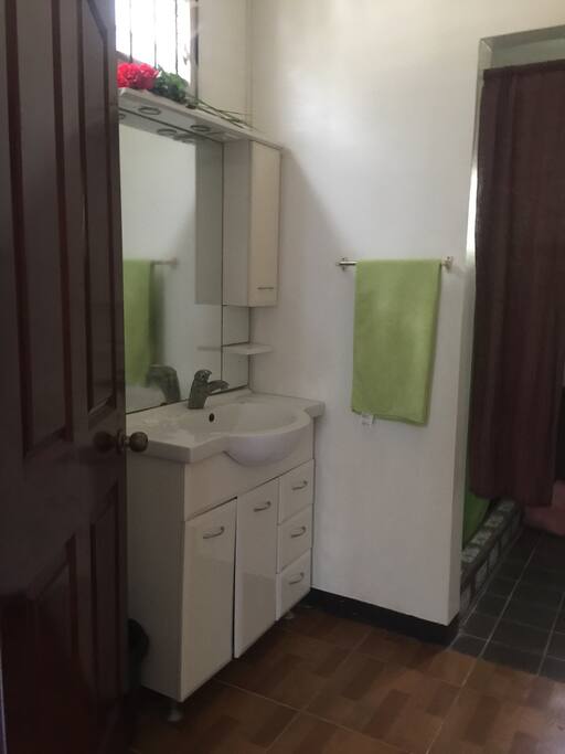 Shower and powder room . Hot and cold water . First floor room .