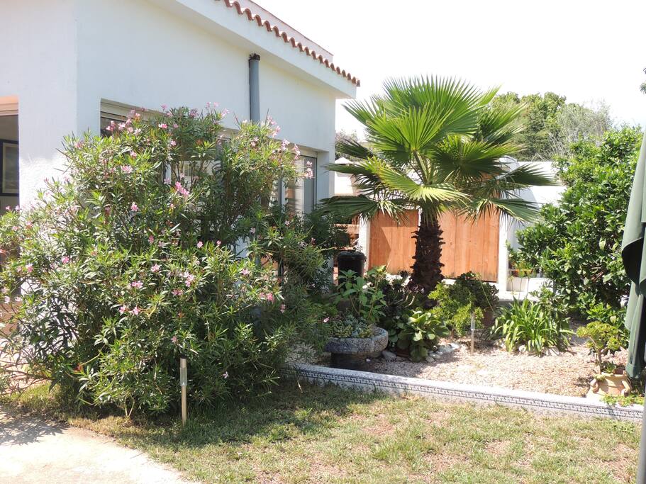 coin jardin exotique