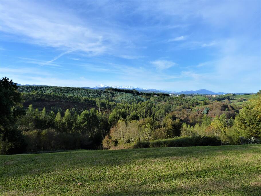 Vistas de los Picos de Europa desde la casa / View from the house of the Picos de Europa
