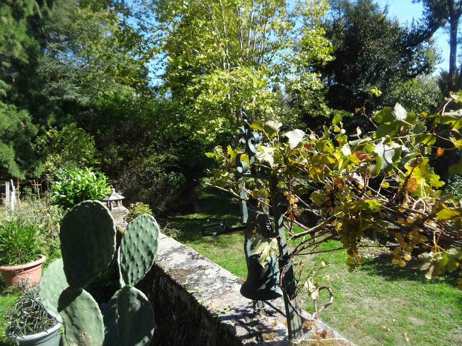 Le parc
