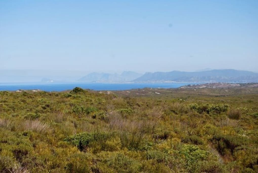 View of Walker Bay from the front veranda