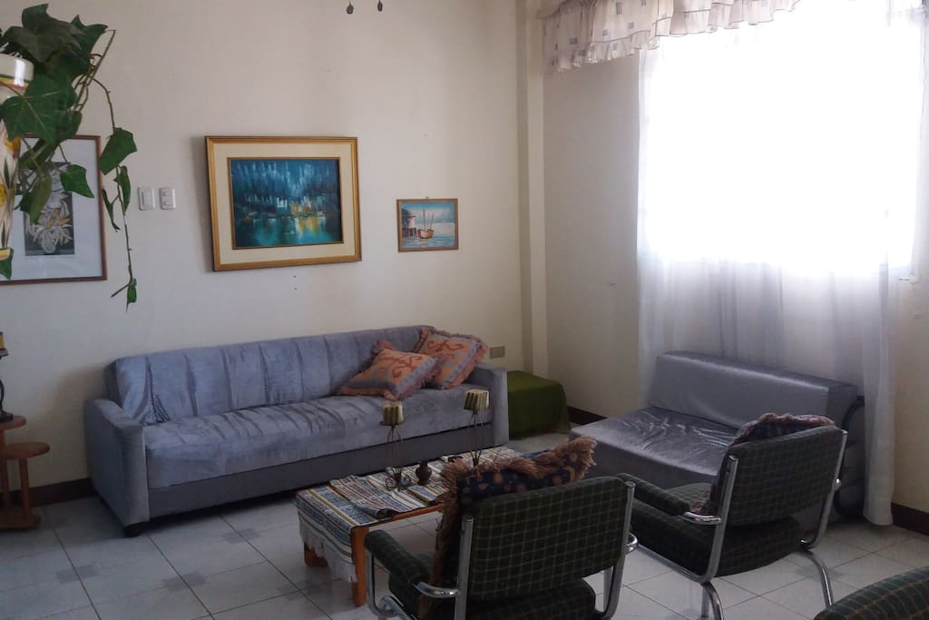 Sala / Living Room (Sofa cama / Sofa bed)