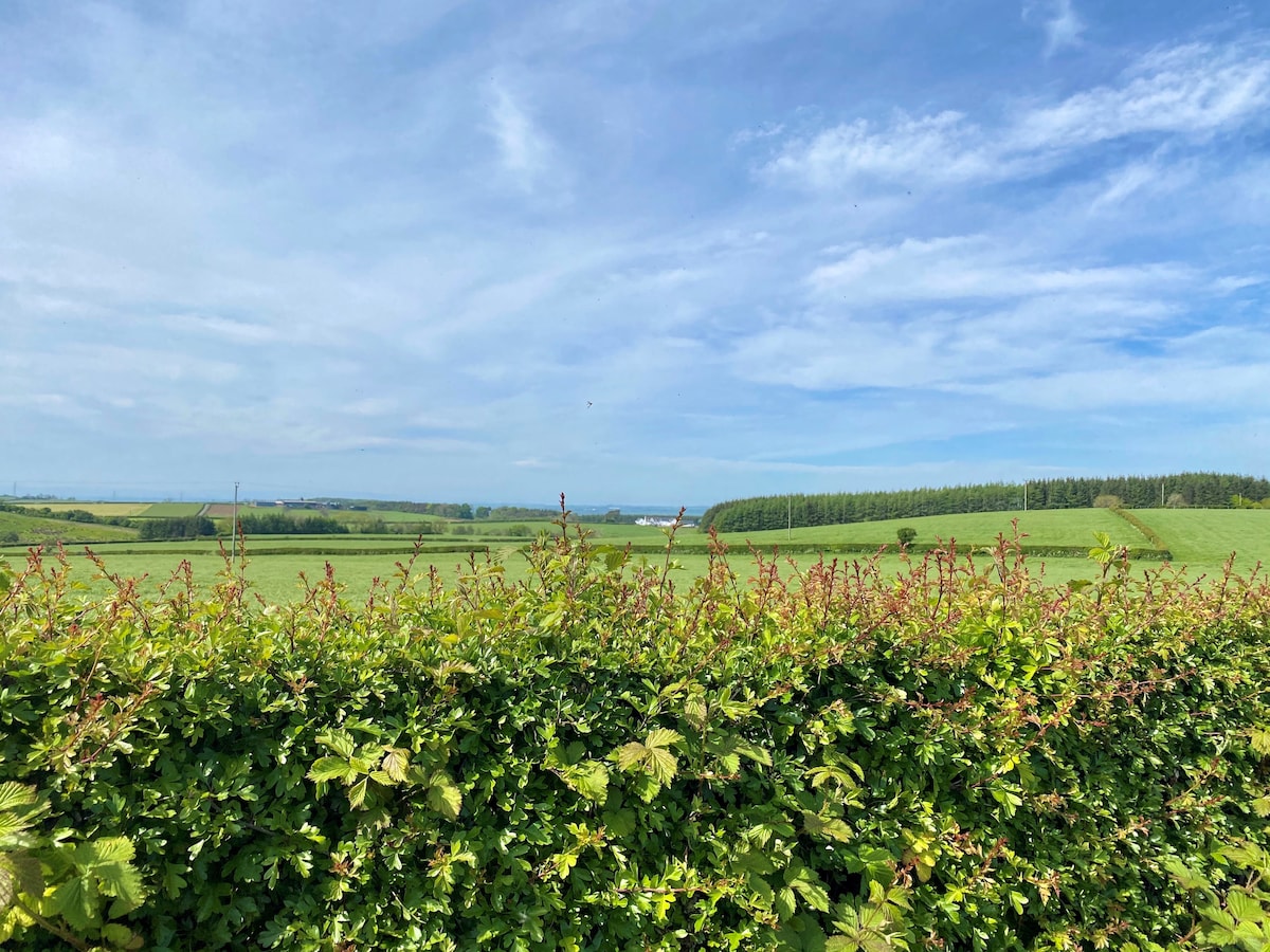 A view of rolling countryside is captured, featuring lush green fields and a blue sky peppered with clouds. The foreground displays a dense hedge with young leaves, creating a natural frame for the expansive landscape beyond.