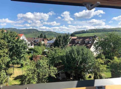 Jackson's Black Forest View 1+2