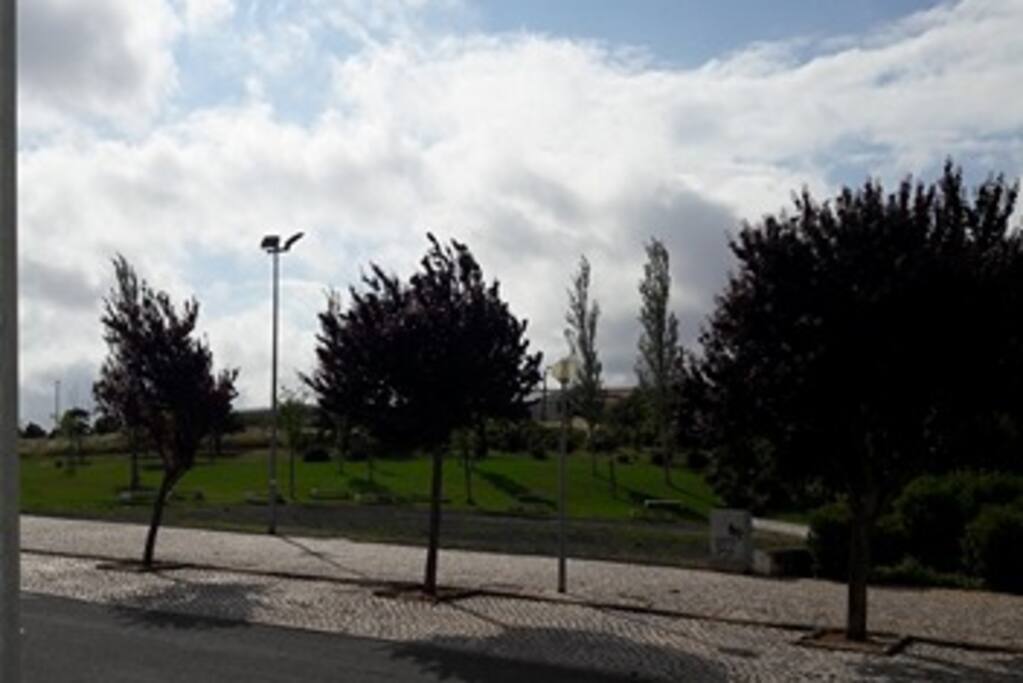 jardim a volta da casa