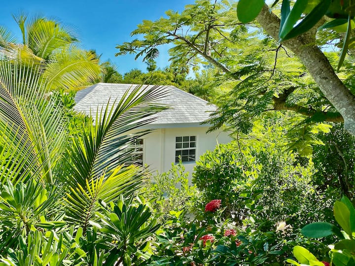 New Listing 60 Second Walk To Grace Bay Beach! 1br, Lush Gardens!! New Villa!! - Turks e Caicos