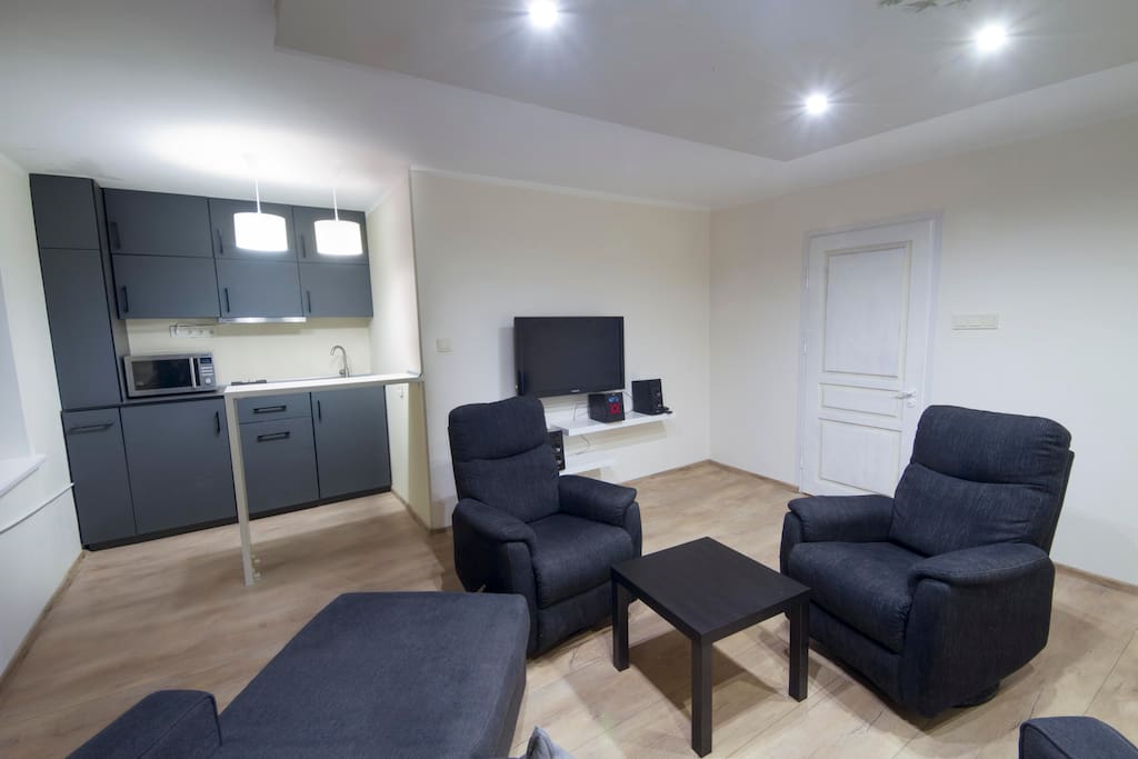 Main room with joint kitchen