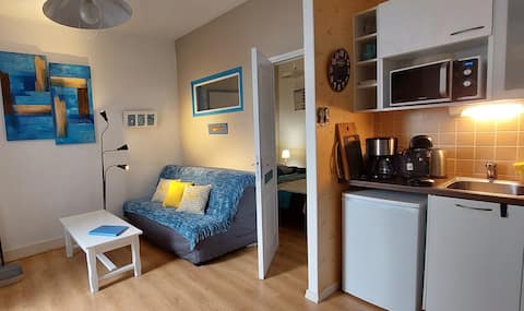 Top Airbnb: Ker Isa flat, beach 5mn, hiking paths in Trébeurden