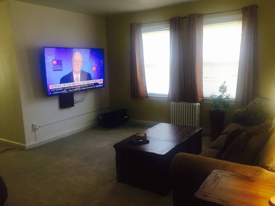 Living Room(pull out sofa)