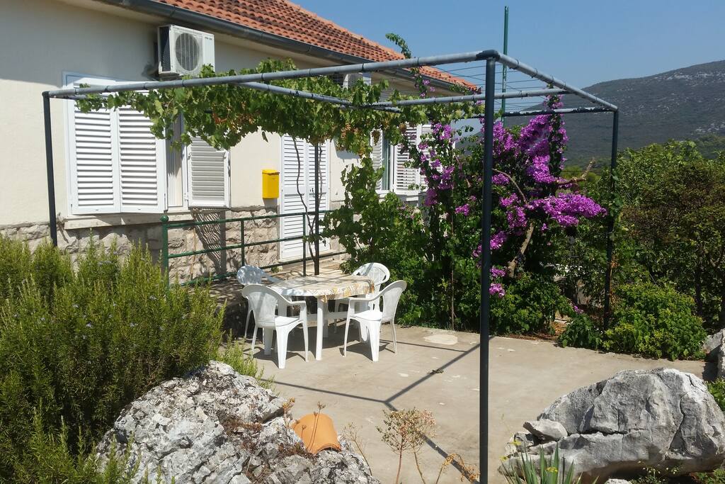Beautiful terrace
