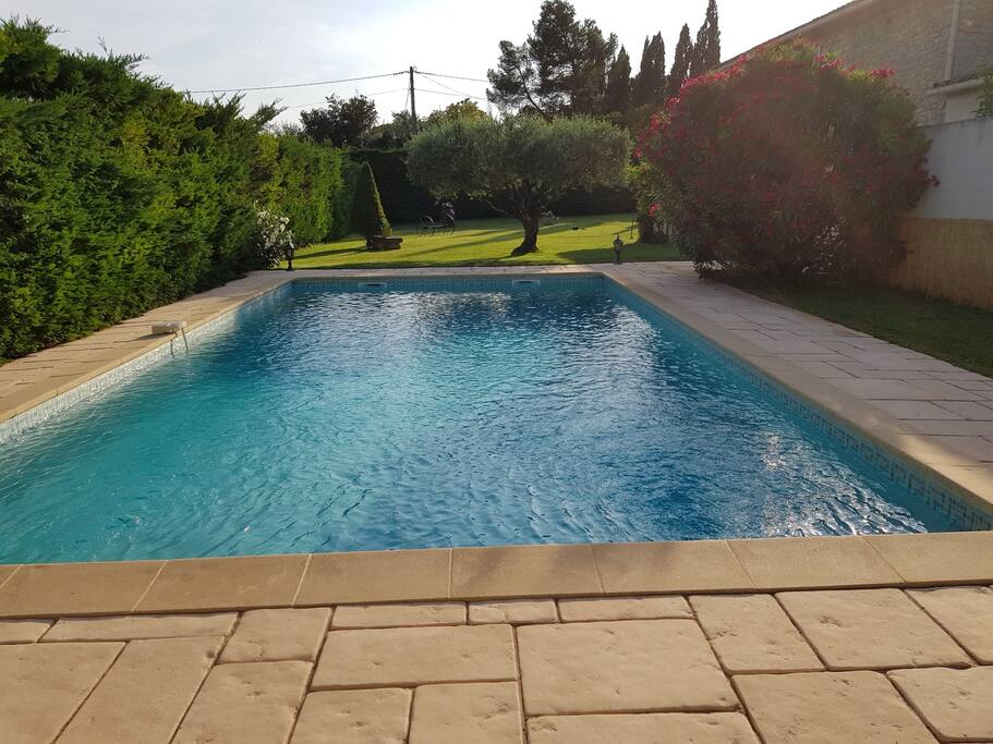 La piscine vue de l'abri