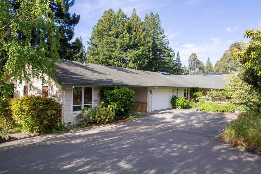 Driveway and approach to the property